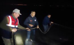 Kaçak Avcılara 435 bin para cezası uygulandı