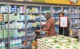 Van Büyükşehir Belediyesi ’Sosyal Kart’ dağıtımına başladı