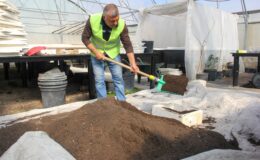 Van Büyükşehir Belediyesi mevsimlik çiçek üretimine başladı