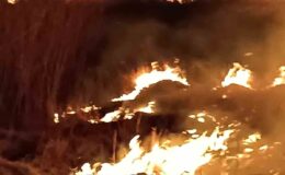 Van’ın Gevaş İlçesinde Sazlık Alanında Çıkan Yangın 3 Saatlik Müdahale ile Söndürüldü