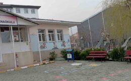 Van’da Şiddetli Rüzgar Hayatı Olumsuz Etkiledi