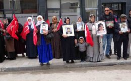Van’da Evlat Nöbeti 100’üncü Haftasında: Ailelerin Kararlı Bekleyişi Sürüyor