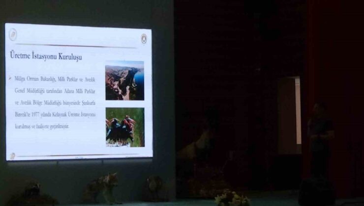 Kelaynaklara Birecik’te Yeni Umut